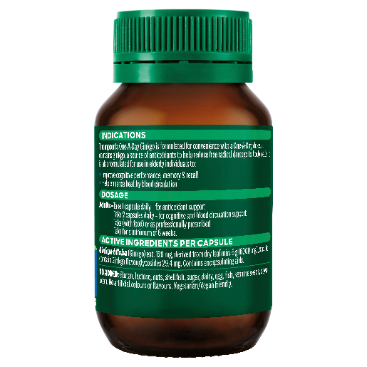 Ginkgo 6000 - Health 2000