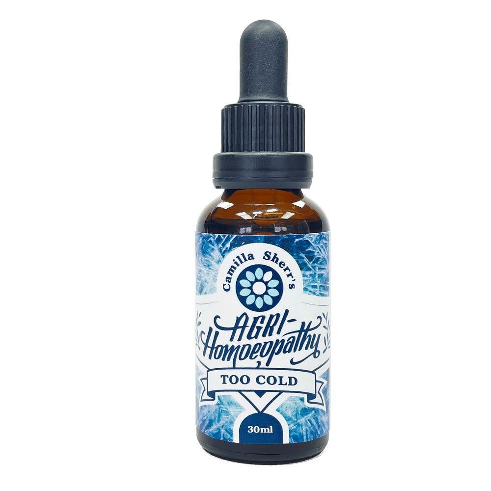 Camilla Sherr's - Too Cold - Health 2000