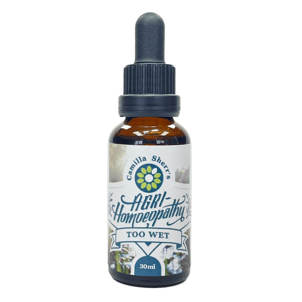 Camilla Sherr's - Too Wet - Health 2000